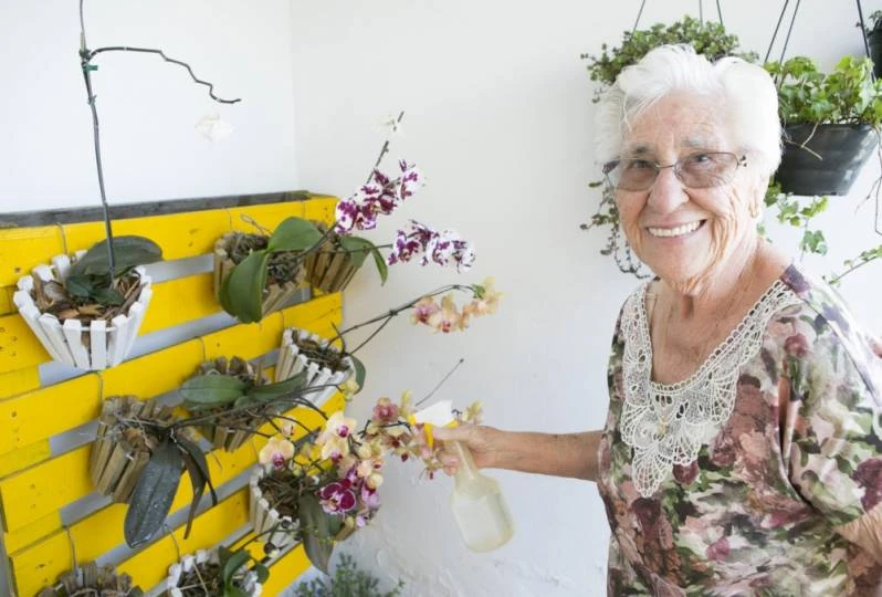 Endereço de Asilo para Idosos com Alzheimer CECAP Endereço de Asilo para Idosos com Alzheimer CECAP